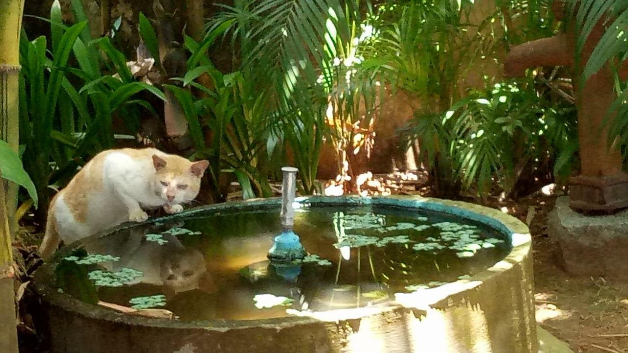 Adams Wood House Ayurveda Homestay Kochi Buitenkant foto